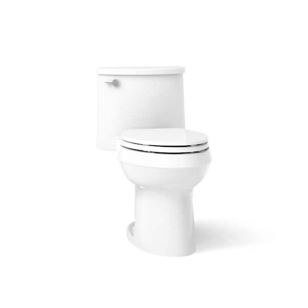 Adair 12 in. Rough In 1-Piece 1.28 GPF Single Flush Elongated Toilet in White Seat Included