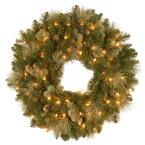 Carolina Pine 24 in. Artificial Wreath with Clear Lights