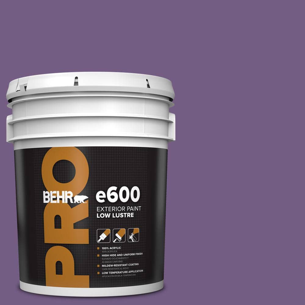 5 gal. #650B-7 Mystical Purple Low Luster Exterior Paint price history on PriceWatchPro