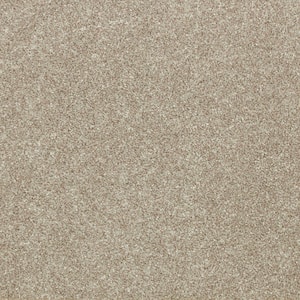 Denfort - Dockside-Beige 70 oz. Triexta PET Texture Installed Carpet