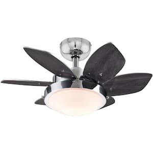 24 in. Integrated LED Indoor Quince Chrome Reversible Ceiling Fan