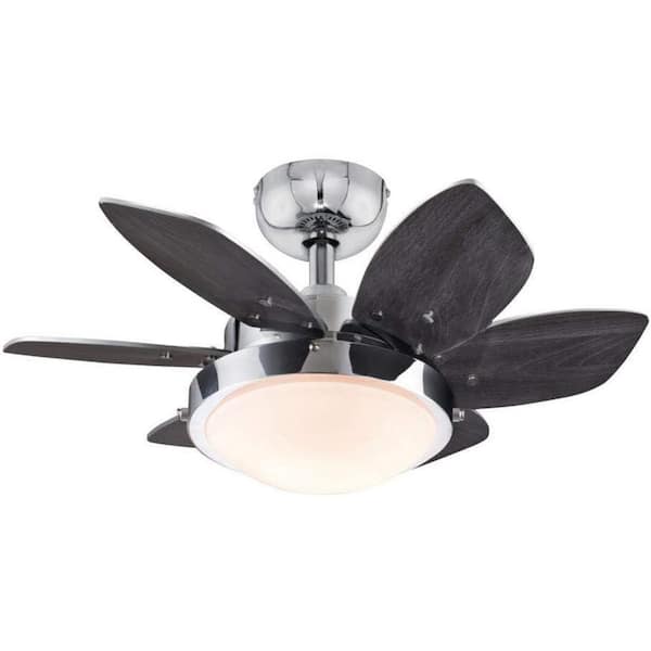 CIATA 24 in. Integrated LED Indoor Quince Chrome Reversible Ceiling Fan