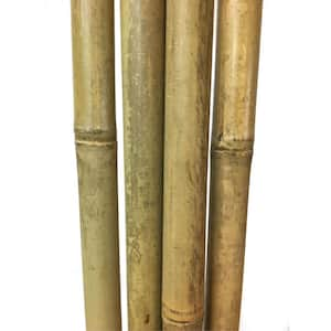 1 in. Dia Tonkin Bamboo Pole 8 ft. L, (10-Set)