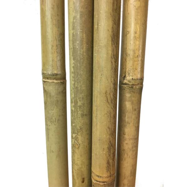 Unbranded 1 in. Dia Tonkin Bamboo Pole 8 ft. L