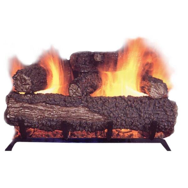Unbranded 21 in. Vented Dual Burner Natural Gas Fireplace Logs-DISCONTINUED