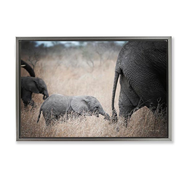 Stupell Industries Baby Elephant Strolling by Sharon Vardy Gray Floater Frame Animal Graphic Art Print 17 in. x 25 in.