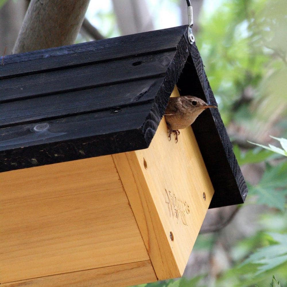 Nature's Way Cedar Hanging Wren Bird House with Black Roof
