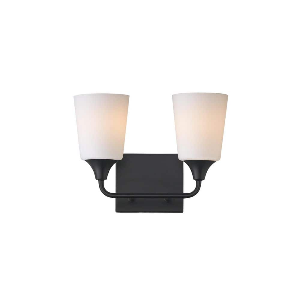 Hudson 13 in. 2 Light Black Vanity Light price history on PriceWatchPro