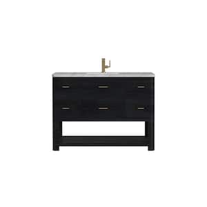 Lucian 48.0 in. W x 21.5 in. D x 36 in. H Single Bathroom Vanity Carbon Oak and Victorian Silver Quartz Top