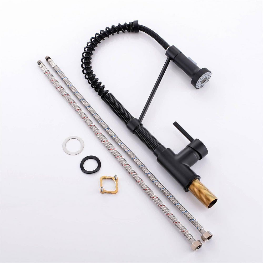 Matte Black Brass Pull-Down Kitchen Faucet with Spray