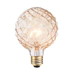 40W Clear Designer Vintage Edison Crystalina Incandescent Light Bulb