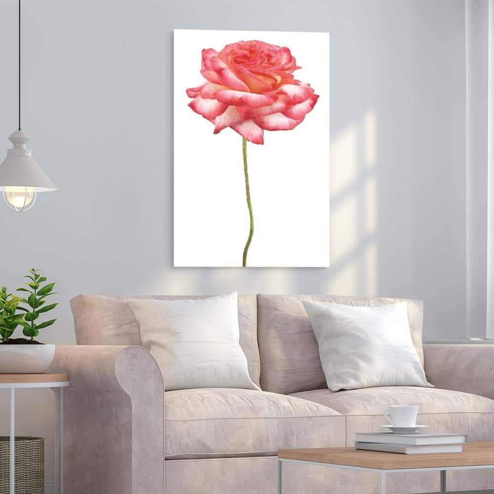 Pink Rose on White Tempered Glass Landscape Wall Art