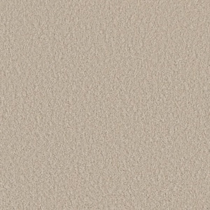 Blissful III - Ecstatic Beige - 75 oz. SD Polyester Texture Installed Carpet