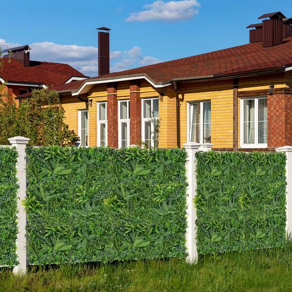 ◆あご当てCozina型 HillClamp BoxWood 4/4 Amazon.com : Japanese Boxwood | 3 Live 4 Inch Pots | Buxus