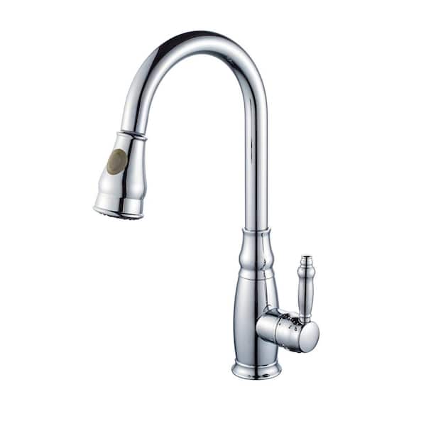 Flynama Single Hole Single-Handle Pull-Down Sprayer Kitchen Faucet in Chrome