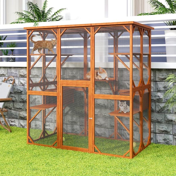 Outdoor cat cages for sale hotsell