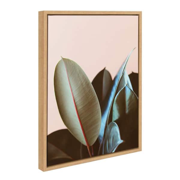 Kate and Laurel Sylvie Ficus Elastica Framed Canvas by Alicia Bock Set of 1 Nature Art Print 18.00 in. x 24.00 in.