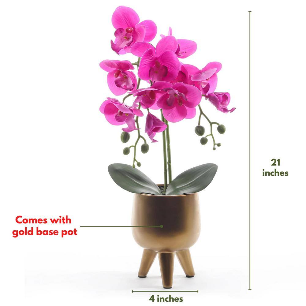 Elegant 21" Purple Orchid with Moss in Gold Vase Centerpiece