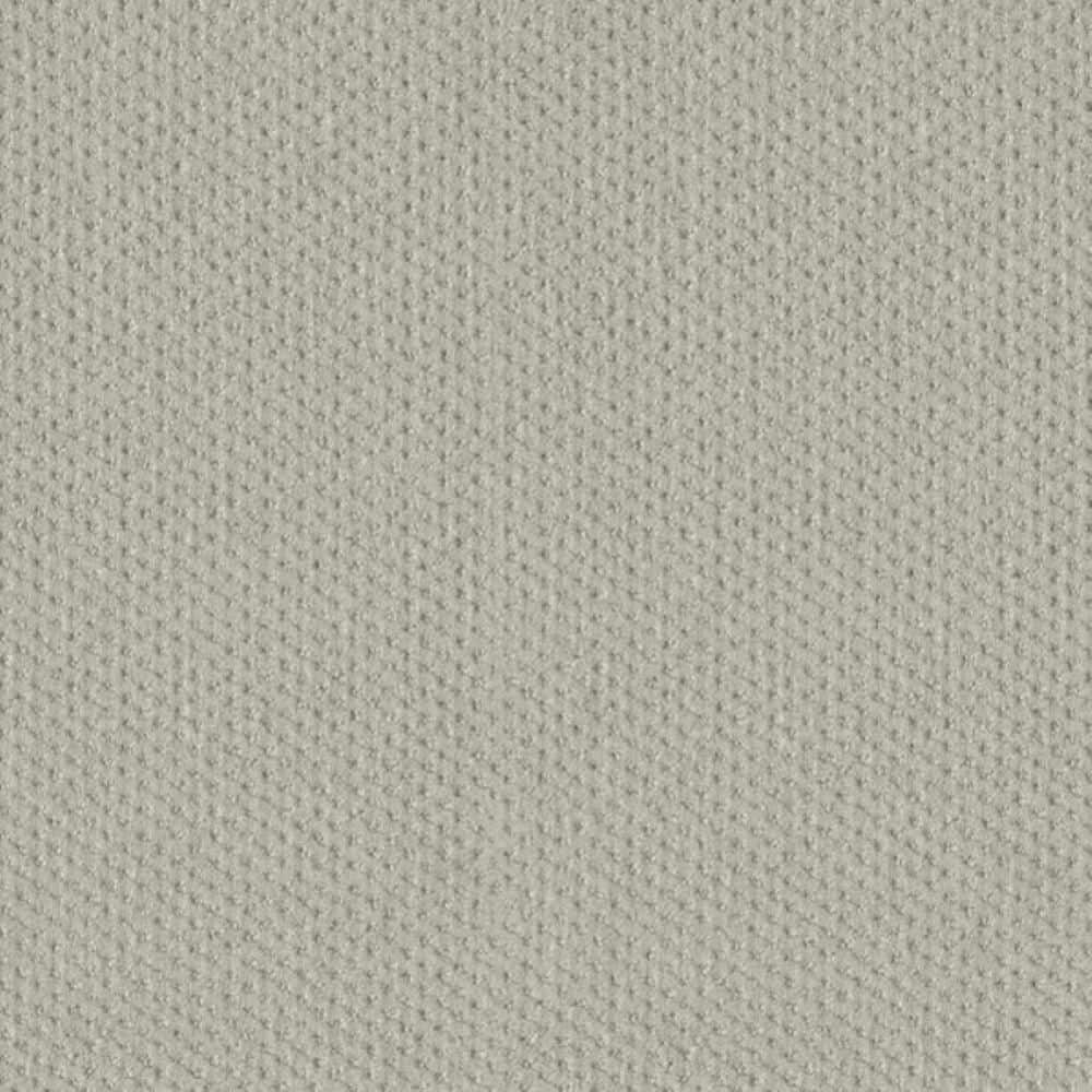 8 in. x 8 in. Pattern Carpet Sample-Fretboard-Color Shimmer price history on PriceWatchPro