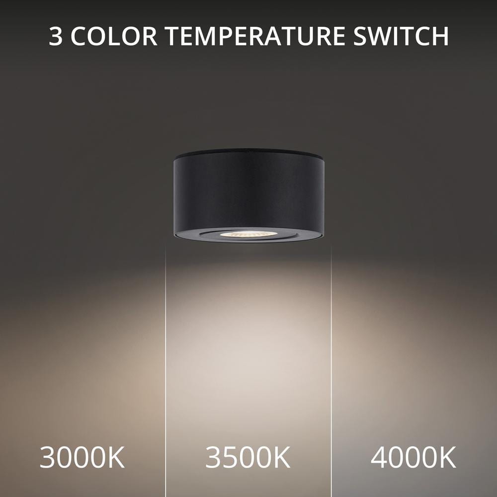 Black Aluminum 5" LED Indoor/Outdoor Flush Mount