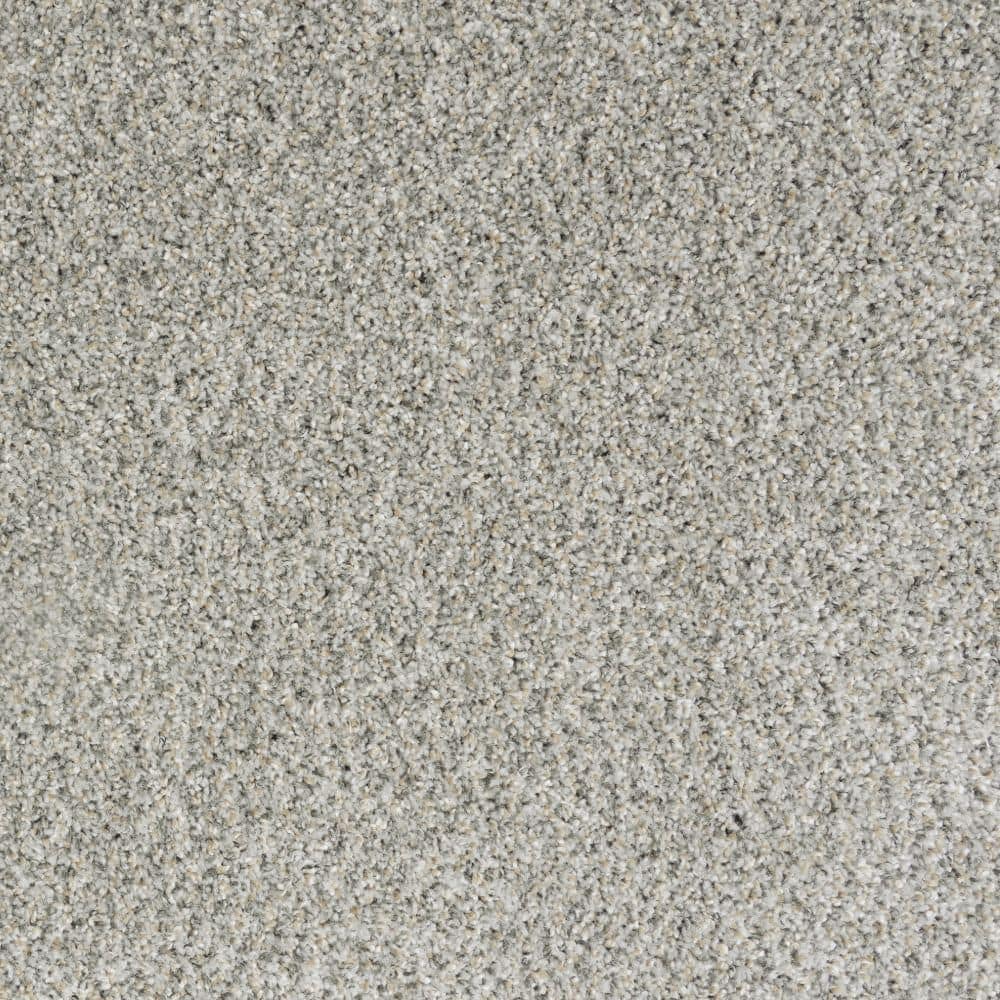 8 in. x 8 in. Texture Carpet Sample-Bolter II-Color Cosmic Steal price history on PriceWatchPro