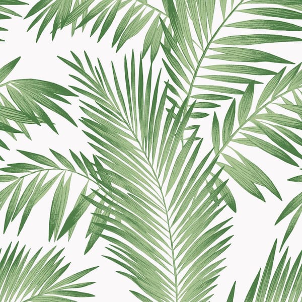Tropical Natural Green Palm Leaves Wallpaper Customised  lifencolors
