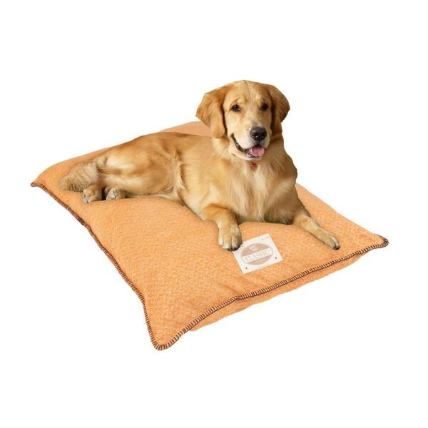 burnt orange dog bed