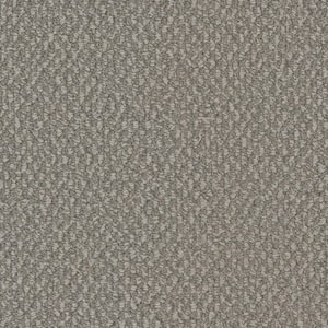 Dark Paradise - Eden - Gray 25 oz. SD Polyester Loop Installed Carpet