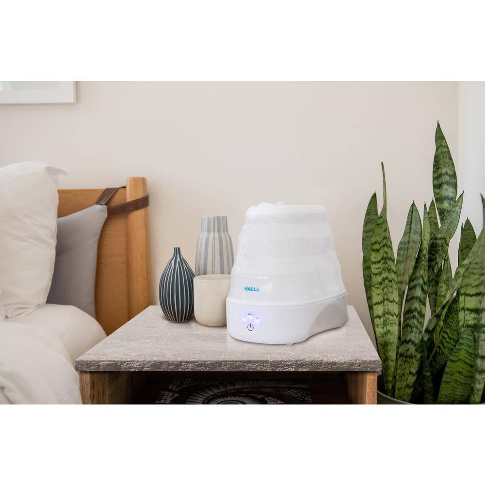 https://images.thdstatic.com/productImages/39b8797b-31be-448f-bb68-ea69aabd9811/svn/whites-crane-humidifiers-ee-5958cwh-76_1000.jpg