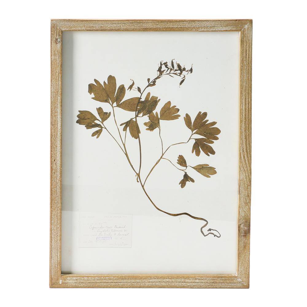 Set of 6 Botanical Prints in Light Brown Wood Frames
