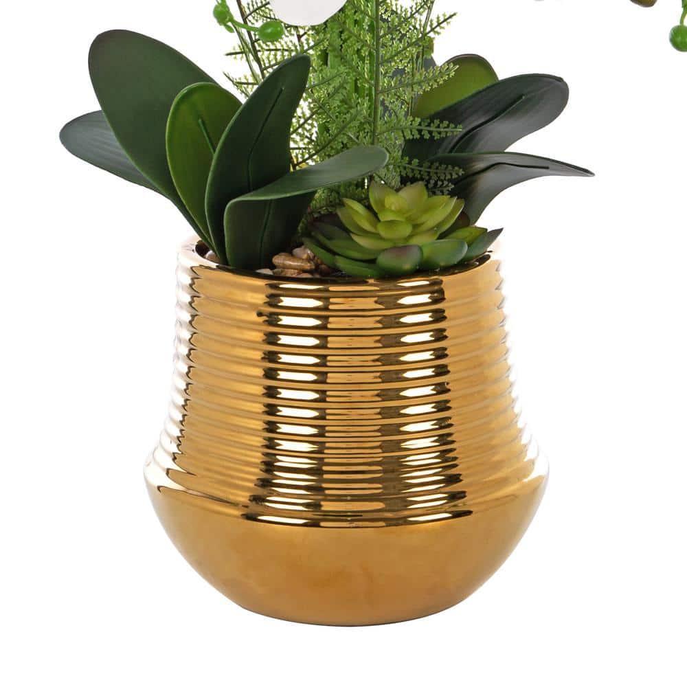 26.77" White Orchid Floral Arrangement in Gold-Plated Ceramic Vase