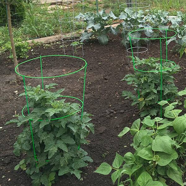 Gardener S Blue Ribbon 42 In Heavy Duty Green Tomato Cage 901594gr The Home Depot