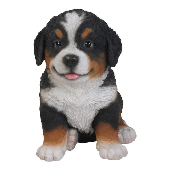 Bearnese Mountain Dog Puppy Statue