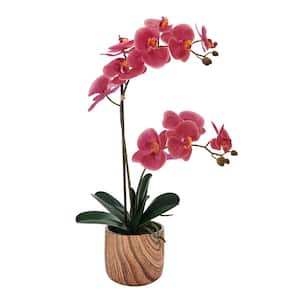 Real Touch 22 in. Rosewood Phalaenopsis Artificial Orchid Faux Wood Cement Pot, Double Branch,