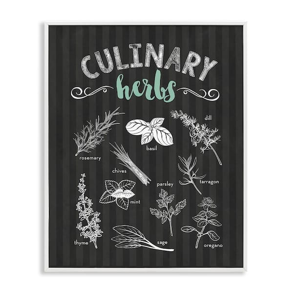 Culinary Herbs on Stripes by Lettered and Lined White Framed Giclee Culture Art Print 14 in. x 11 in.