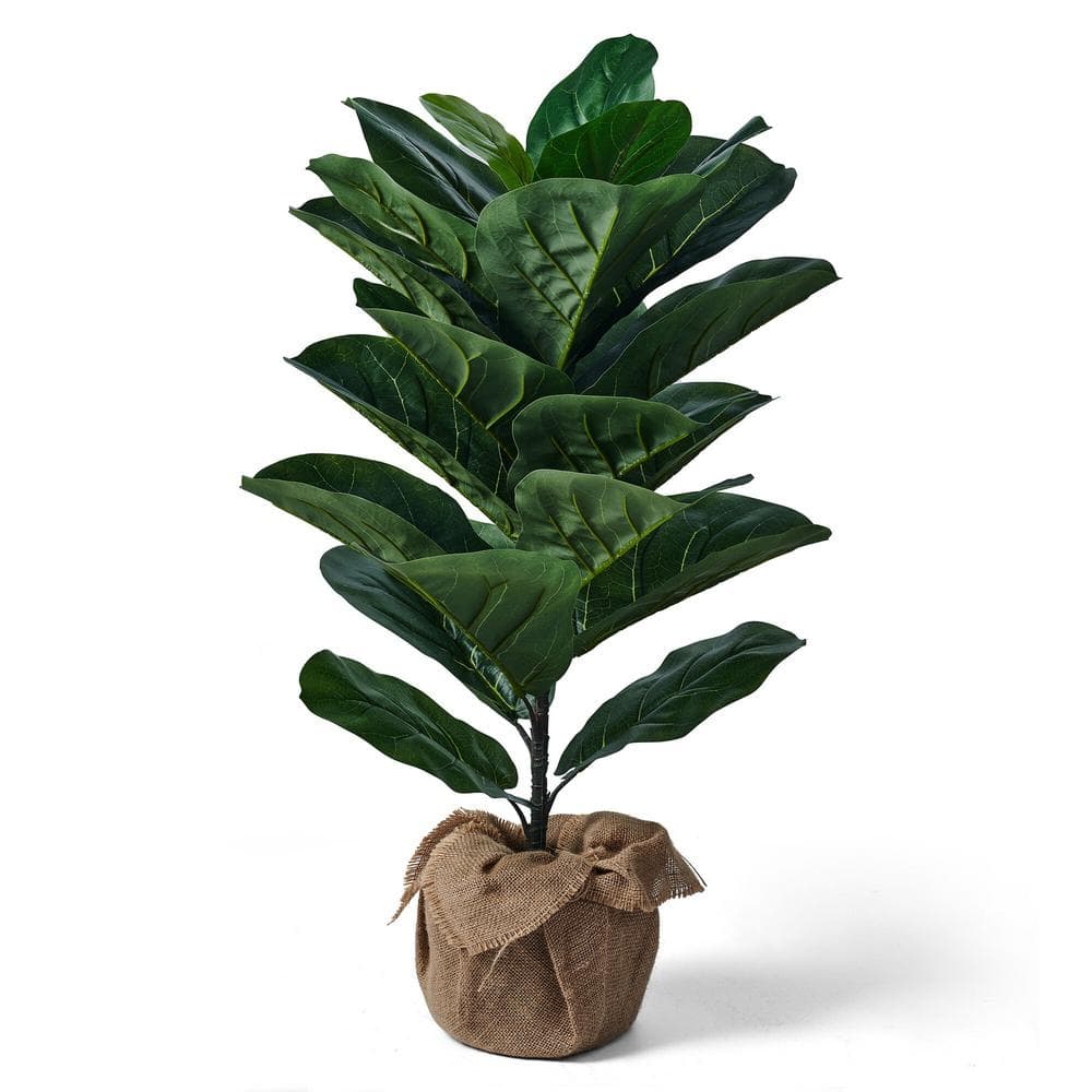 Elements 30 in. Artificial Fiddlehead Ficus Tree-with Plastic Burlap ...