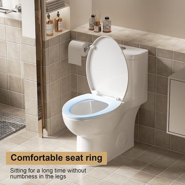 Feelive 1-Piece 1.1/1.6 GPF Dual Flush Rimless Bowl Toilet