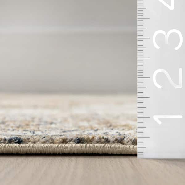 Charvi Brown 8 ft. 10 in. x 13 ft. Distressed Medallion Fringe Area Rug