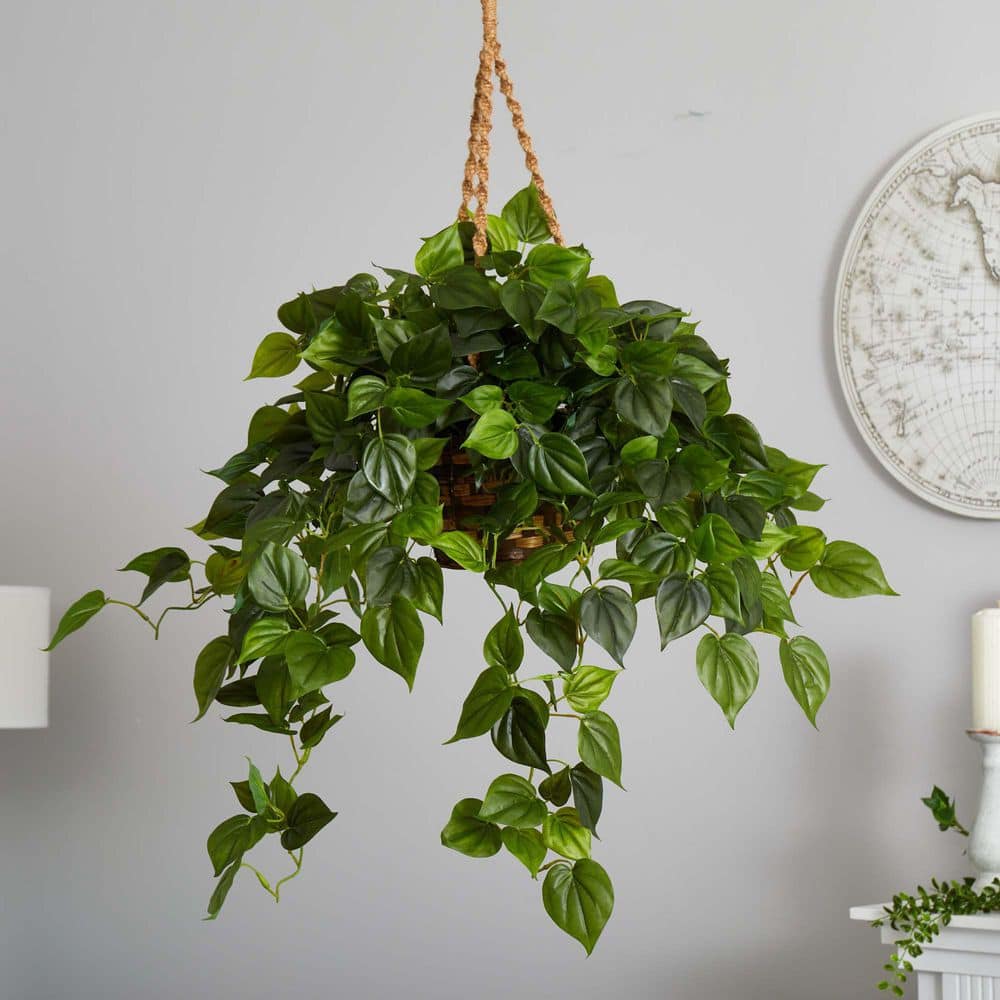 Outdoor UV Resistant Philodendron Hanging Basket