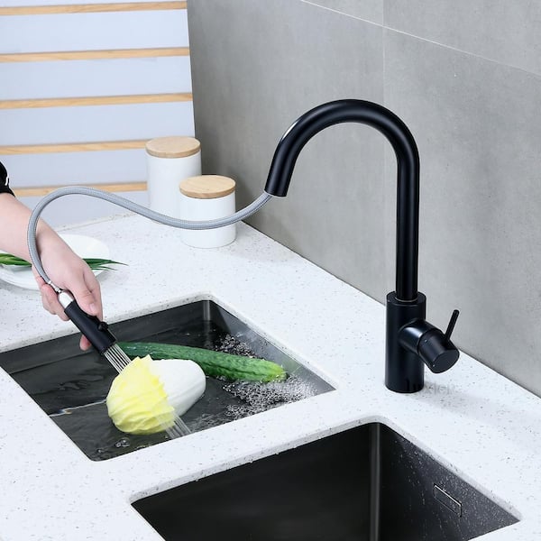 Single-Handle Pull-Down Sprayer Kitchen Faucet with 2-Function Sprayhead in Matte Black Single-Handle Pull-Down Sprayer Kitchen Faucet with 2-Function Sprayhead in Matte Black