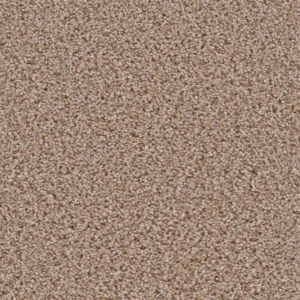 8 in. x  8 in. Texture Carpet Sample - Added Value -Color Merit price history on PriceWatchPro