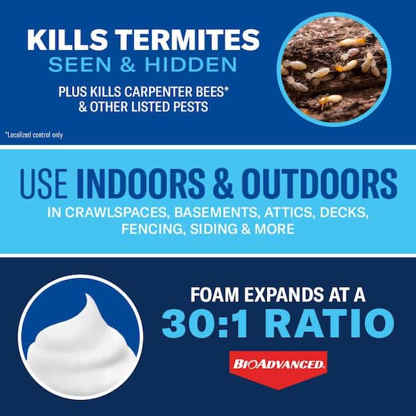 18 oz. Ready-to-Use Termite and Carpenter Bee Insect Killer Foam