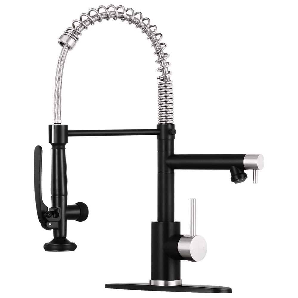 Single Handle 18 in. H Pull Down Sprayer Kitchen Faucet with Advanced Spray in Black and Nickel price history on PriceWatchPro