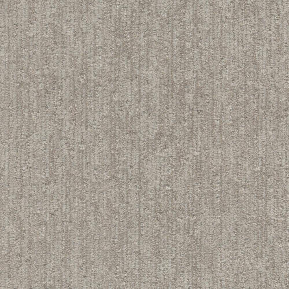 8 in. x 8 in. Pattern Carpet Sample - Mystery - Color Nine Mile price history on PriceWatchPro