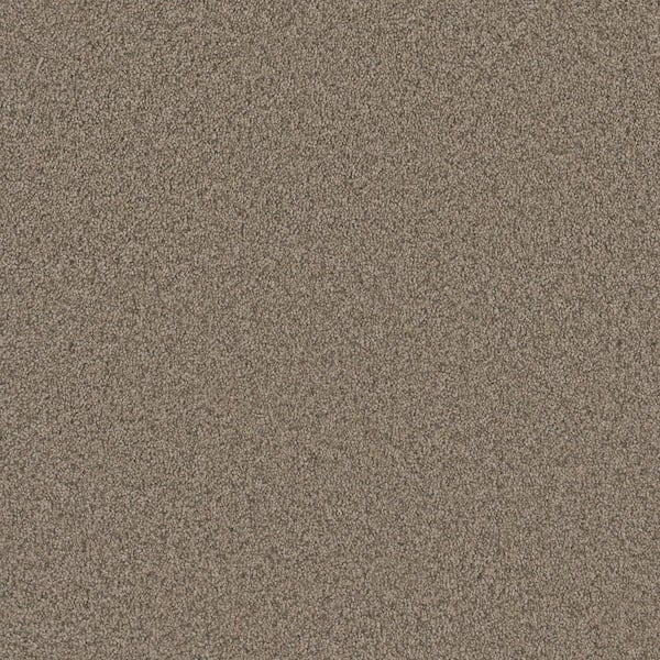 Harpstring I-Lore Beige-60 oz. SD Polyester Texture Installed Carpet