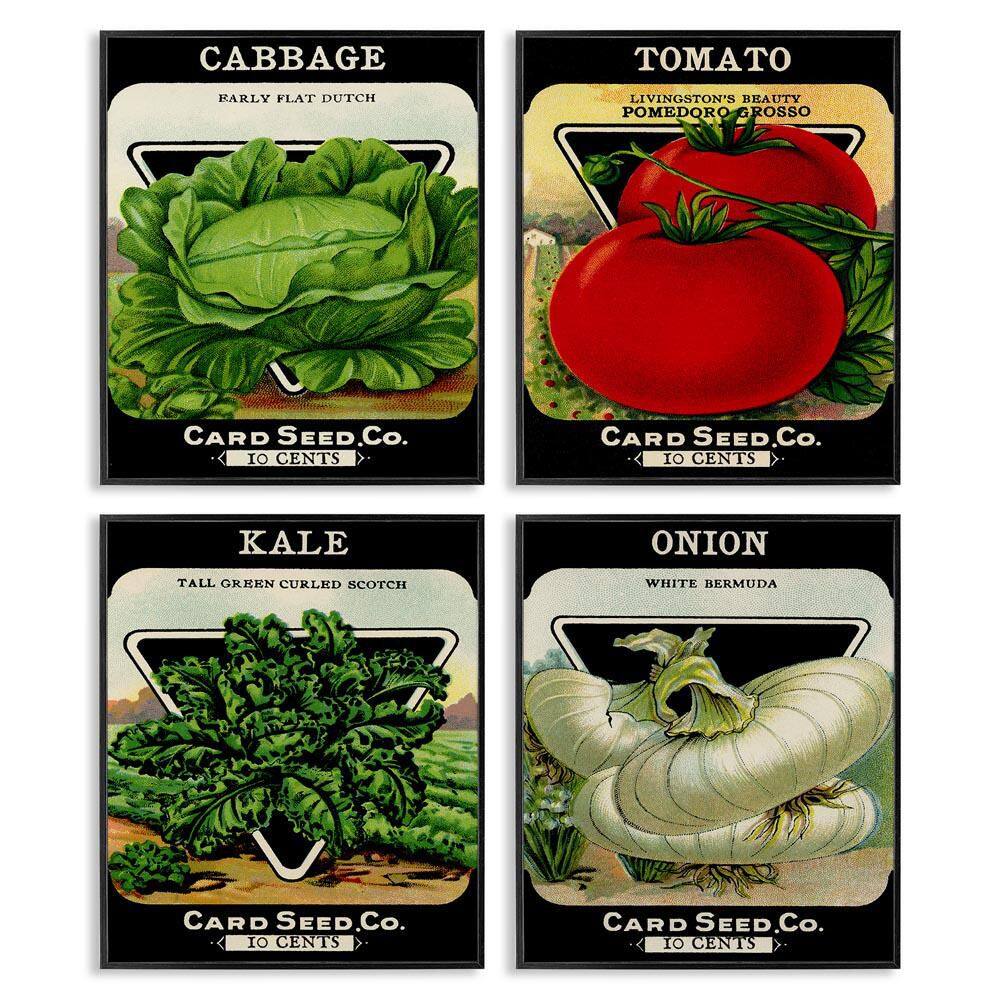 Vintage Garden Cabbage by Lil' Rue 4 Piece Black Framed Food Giclee Art Print 20 in. x 16 in. price history on PriceWatchPro