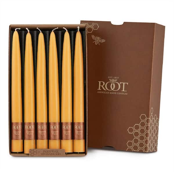 ROOT CANDLES Dipped Taper 9 in. Butterscotch Unscented Taper Candle (Box of 12)