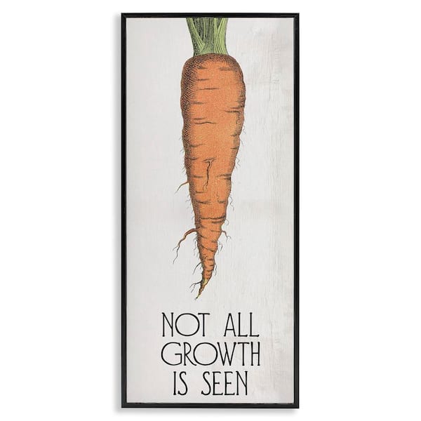 Stupell Industries Carrot & Inspiring Growth by Daphne Polselli Black Framed Food Giclee Art Print 30 in. x 13 in.