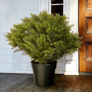 22 in. Artificial Globe Cedar Tree with Dark Green Round Growers Pot