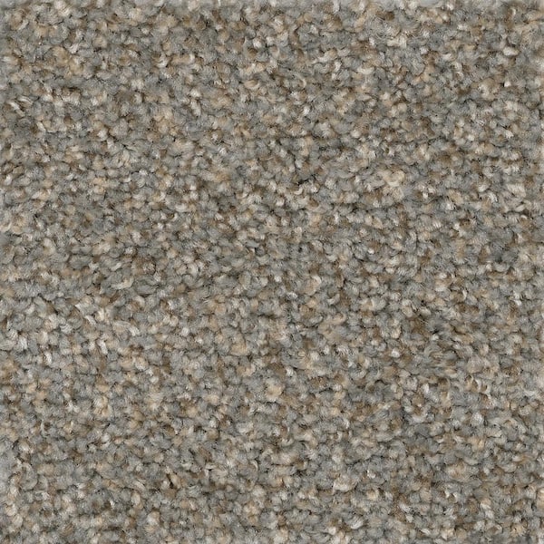 TrafficMaster 8 in. x 8 in. Texture Carpet Sample - Matchless -Color Elk  EF-244963 - The Home Depot